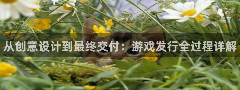 银河(galaxy)防水是几线品牌