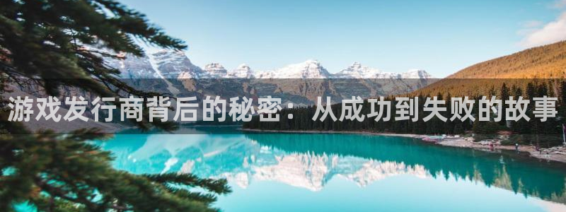银河官网平台会黑款吗：游戏发行商背后的秘密：从成功到失败的故事